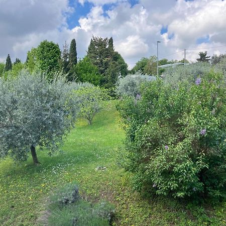 Happy Guest Apartments - Lake View And Pool Riva di Solto Bagian luar foto