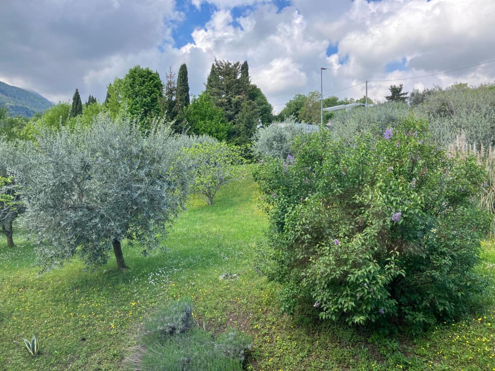 Happy Guest Apartments - Lake View And Pool Riva di Solto Bagian luar foto